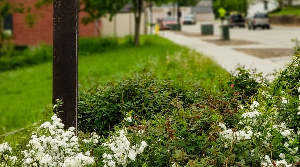 Not much to see here or do here, some street sign in the opposite sidewalk