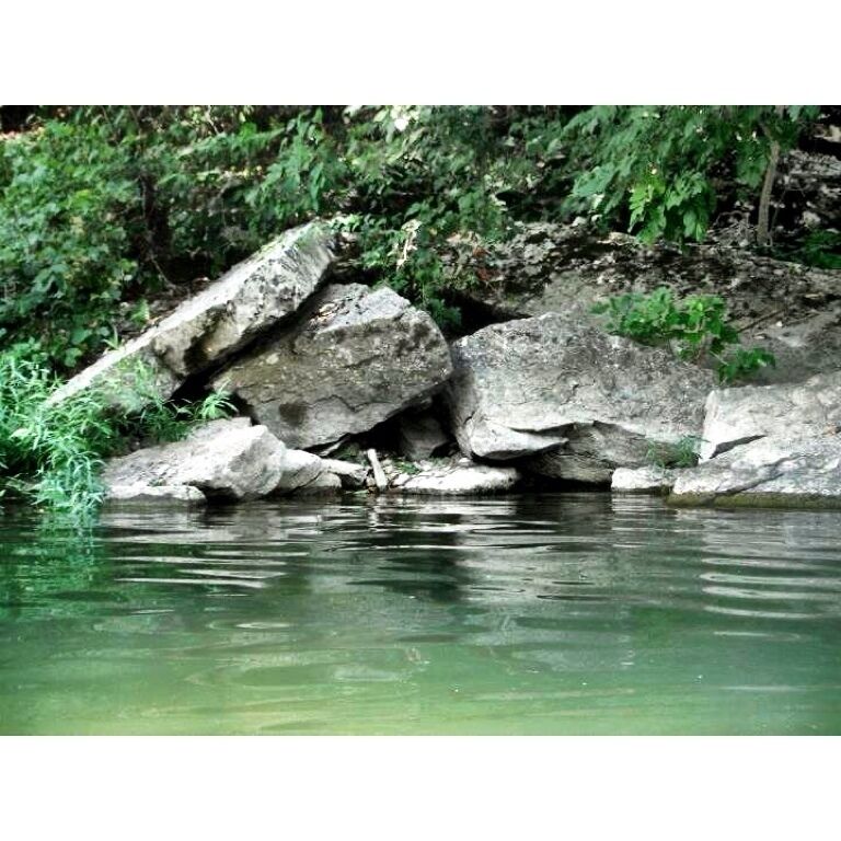 A rocky riverbank with large boulders and dense greenery.