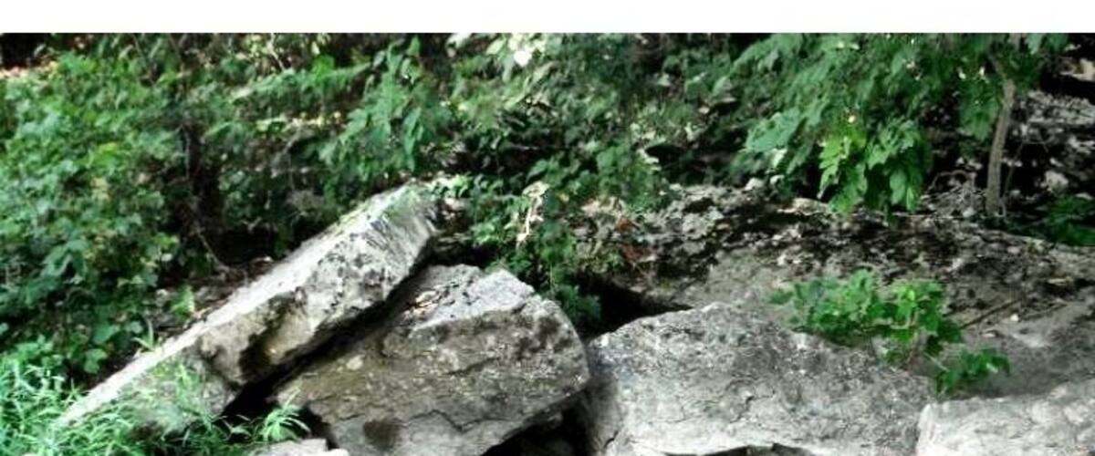 A rocky riverbank with large boulders and dense greenery.