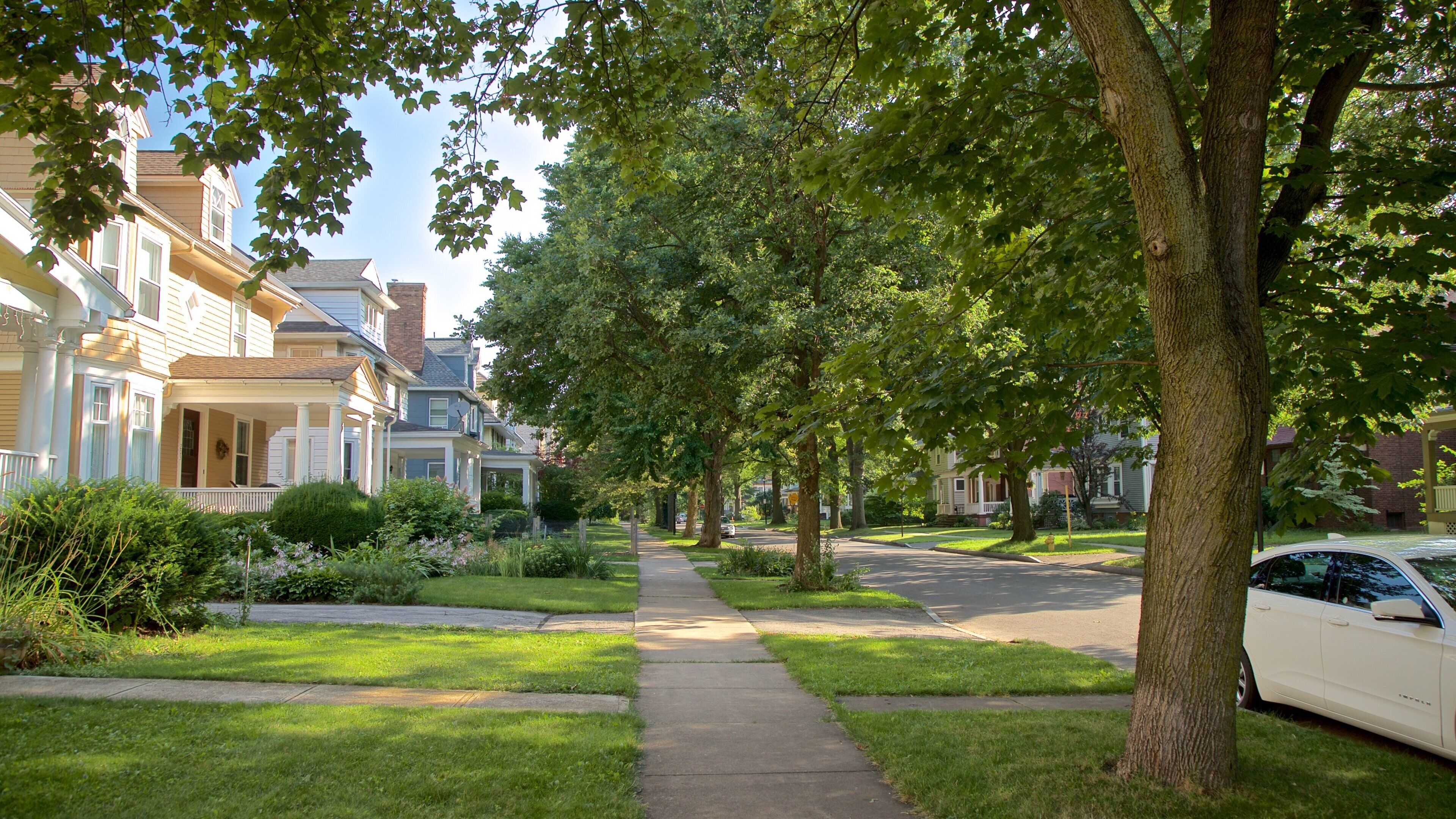 Rochester showing a house