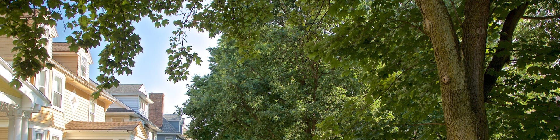 Rochester showing a house