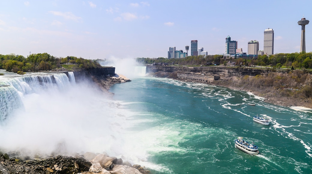 A large waterfall, a river, a city skyline, and a tower.