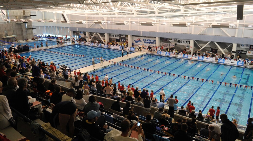 Greensboro que incluye un evento deportivo, vistas interiores y natación
