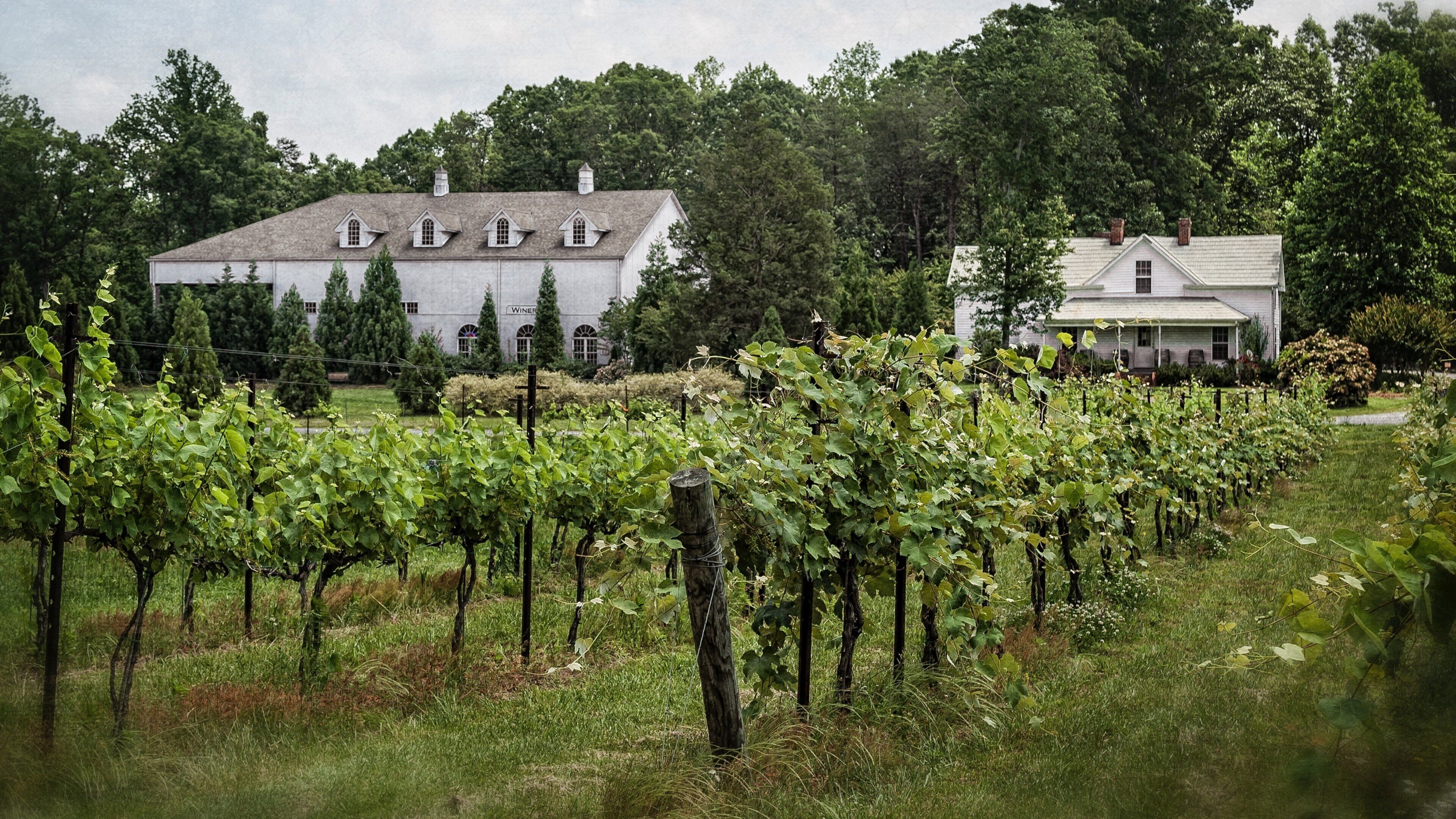 Greensboro mostrando una casa y tierras de cultivo