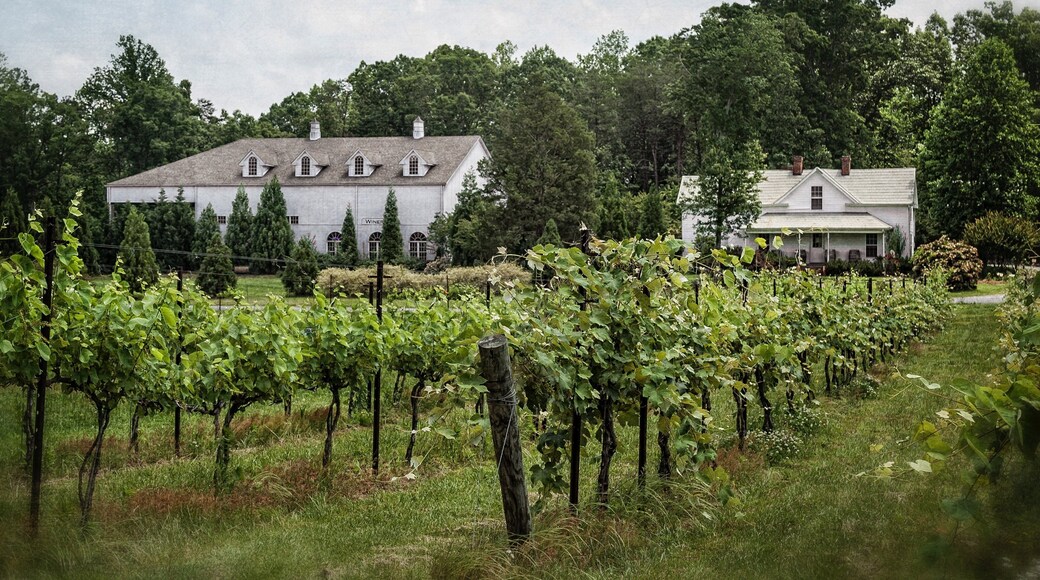 Greensboro mostrando una casa y tierras de cultivo