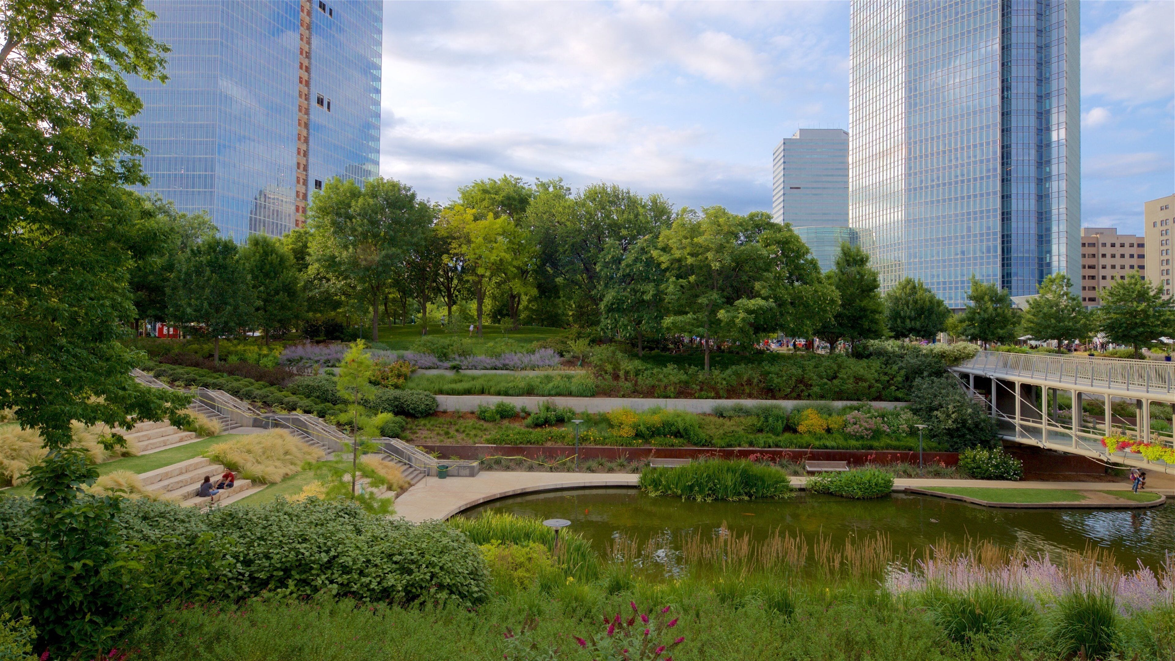 A park with a pond, greenery, and modern buildings in the background.