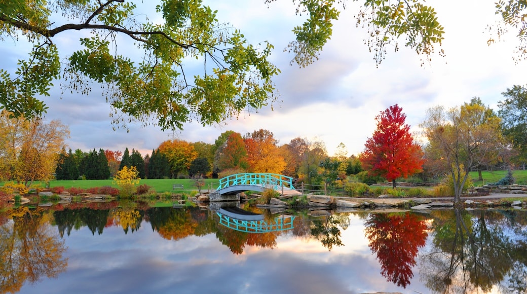 Dayton toont een meer of poel, herfstbladeren en een brug