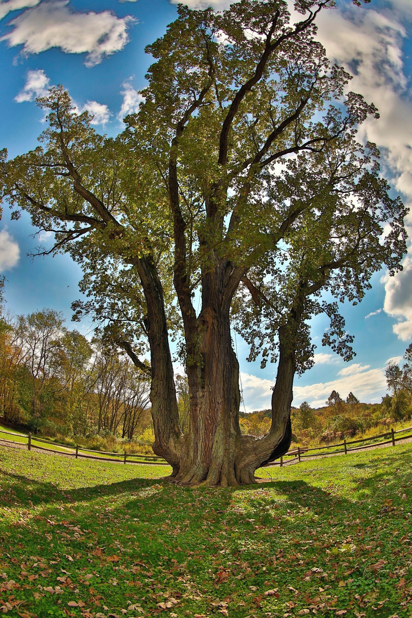 #hiking.. i love hiking being out doors following a trail or just making my own fresh air and the out doors is amazing. i hike every chance i can close to home or travel to find new locations, I'm from akron Ohio but i love to travel this photo was from...one of the many parks in akron the gorge is always a great place to go to get outdoors and a small hike ...