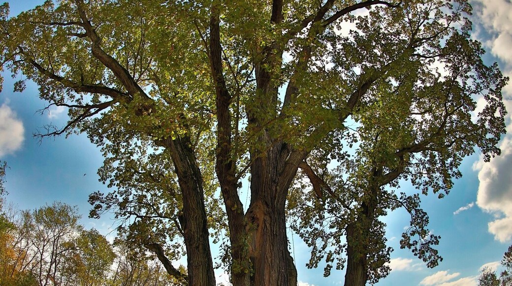 #hiking.. i love hiking being out doors following a trail or just making my own fresh air and the out doors is amazing. i hike every chance i can close to home or travel to find new locations, I'm from akron Ohio but i love to travel this photo was from...one of the many parks in akron the gorge is always a great place to go to get outdoors and a small hike ...