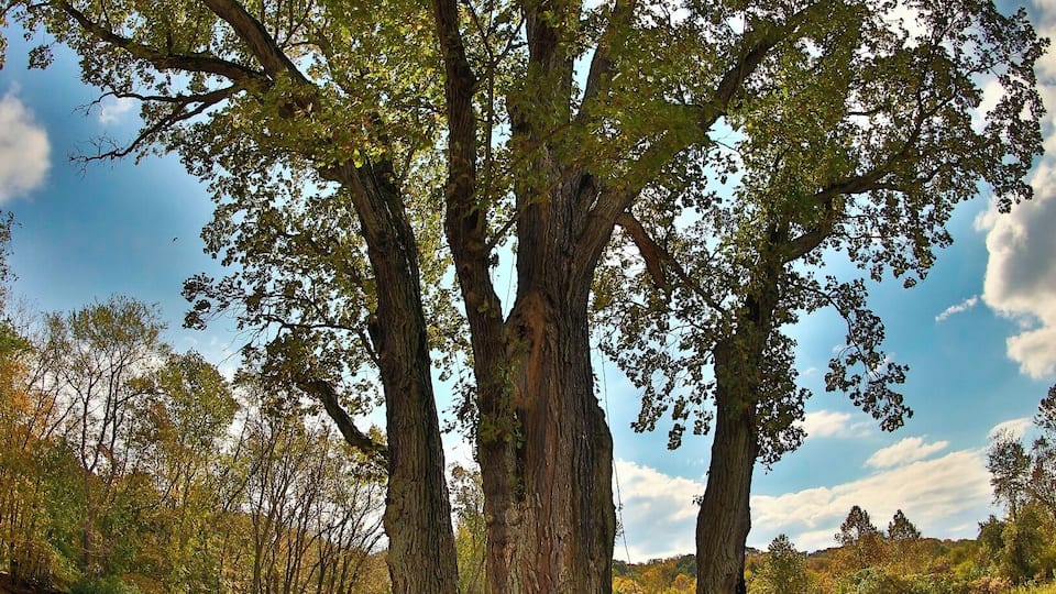 #hiking.. i love hiking being out doors following a trail or just making my own fresh air and the out doors is amazing. i hike every chance i can close to home or travel to find new locations, I'm from akron Ohio but i love to travel this photo was from...one of the many parks in akron the gorge is always a great place to go to get outdoors and a small hike ...
