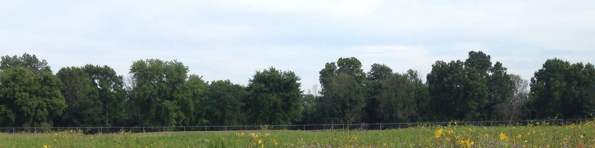 A section of Huffman Prairie, which was where the Wright Brothers perfected their flying machine, is maintained as a natural prairie. The wildflower blooms are incredible all summer!