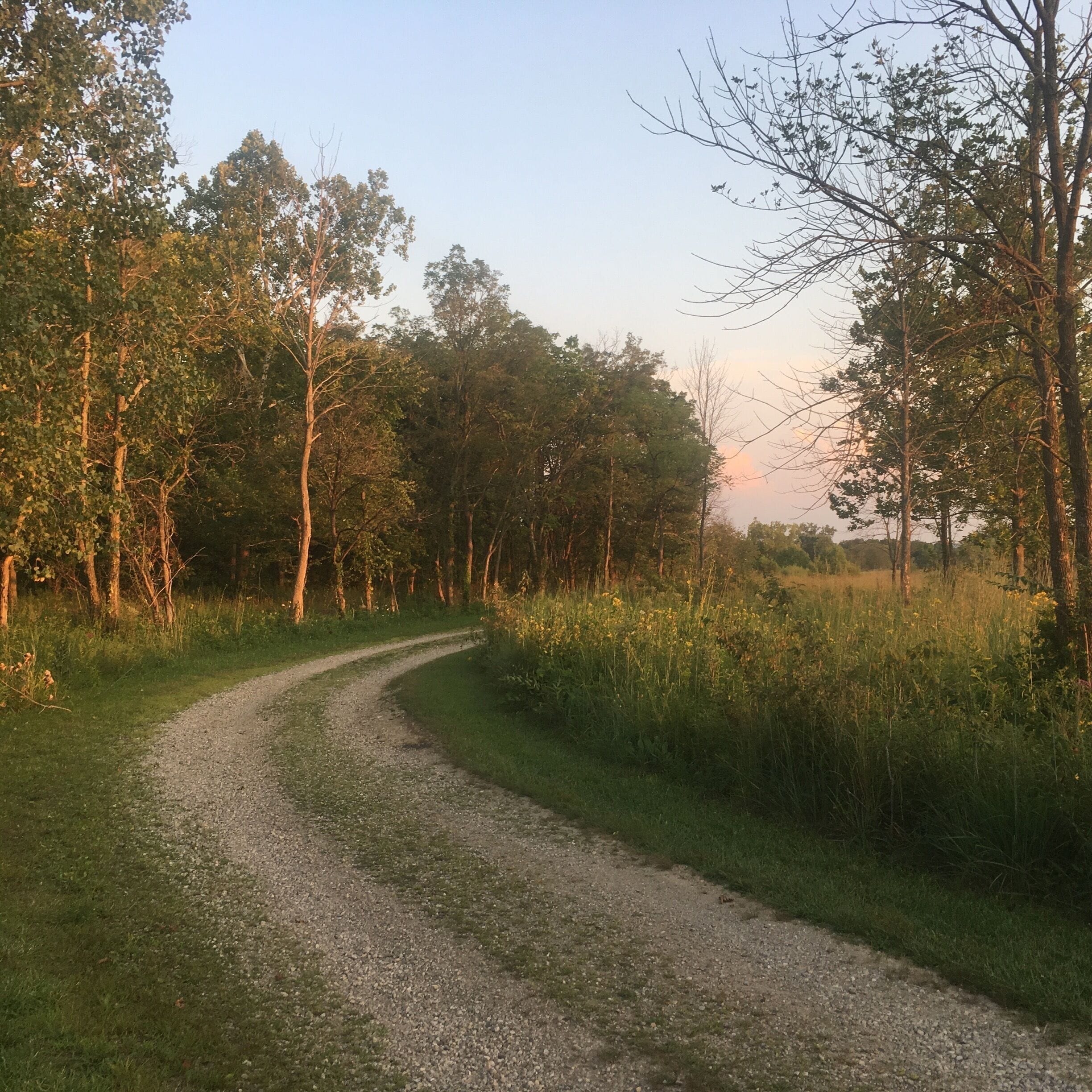 Possum Creek has dirt roads, grass trails, and all sorts of great places for walking, running, biking, etc.