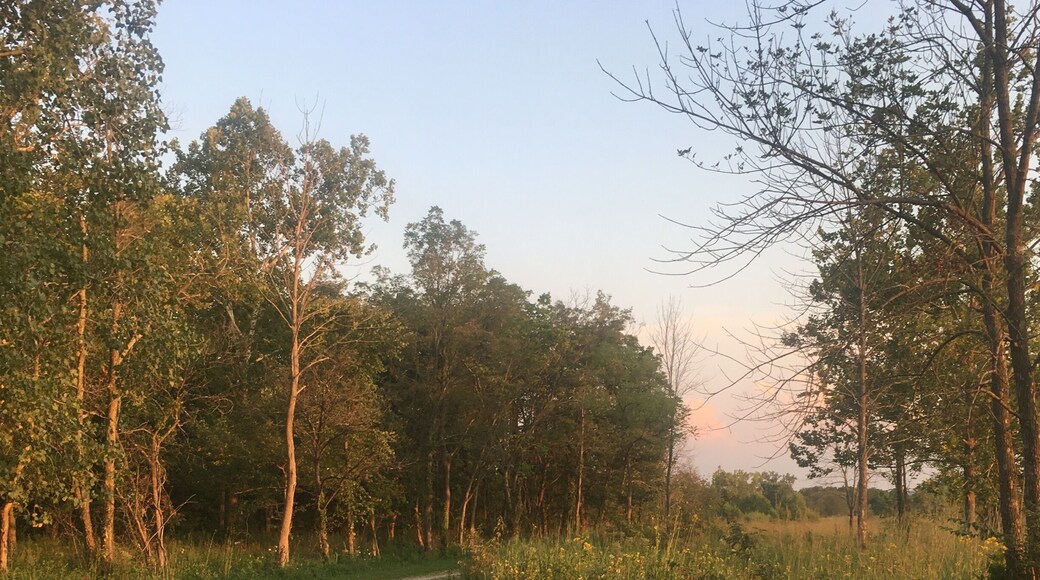 Possum Creek has dirt roads, grass trails, and all sorts of great places for walking, running, biking, etc.