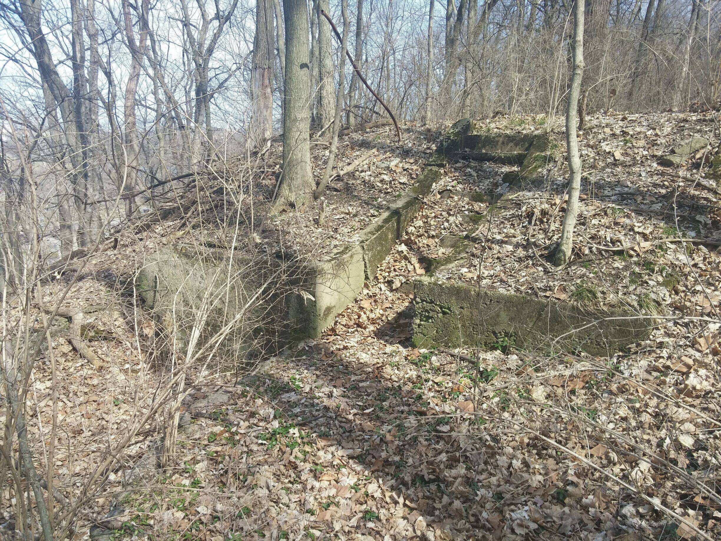 These concrete steps are all that remain of the Dayton Quarantine Hospital. 

It opened in 1887 to house patients suffering from smallpox. Later, the hospital treated patients with social diseases and alcoholism. The hospital finally closed in 1949. 

Also known as the Pestilence Hospital or the Pest House, the hospital was demolished in 1955.