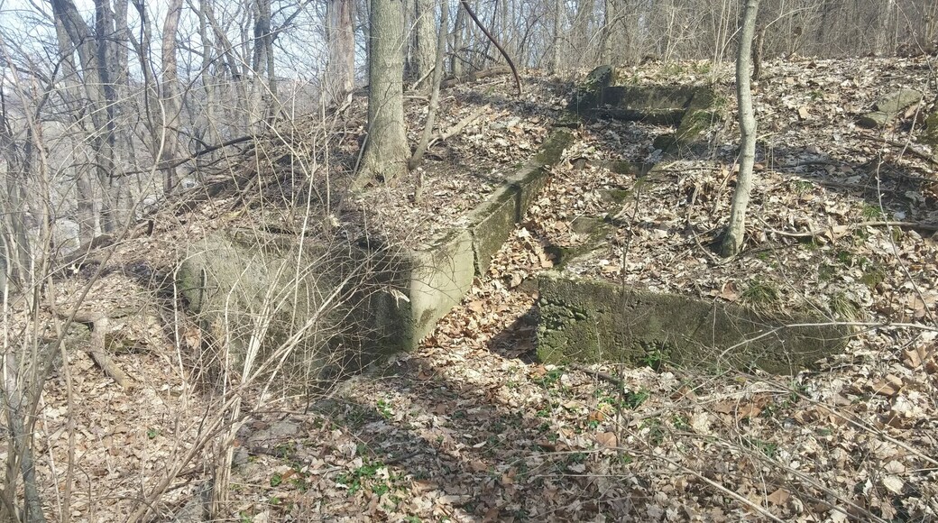 These concrete steps are all that remain of the Dayton Quarantine Hospital.
It opened in 1887 to house patients suffering from smallpox. Later, the hospital treated patients with social diseases and alcoholism. The hospital finally closed in 1949.
Also known as the Pestilence Hospital or the Pest House, the hospital was demolished in 1955.