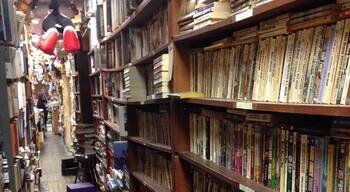 This store, tucked in among the bars of the Oregon District, is in the vein of the best used book stores - stacks arranged in a way that makes sense to the owner but no one else and narrow aisles to make more room for books. Also there are stacks of comic books and magazines, and all sorts of collector memorabilia for decorations.
