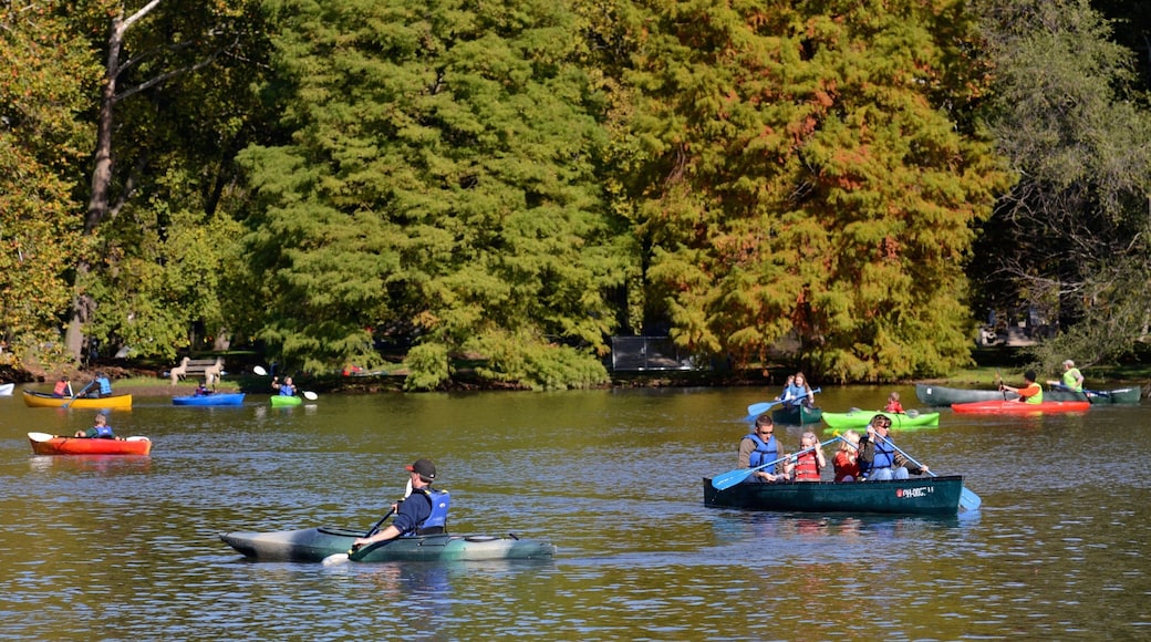 Dayton presenterar kajak eller kanot och en sjö eller ett vattenhål såväl som en liten grupp av människor