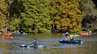 Dayton showing a lake or waterhole and kayaking or canoeing as well as a small group of people