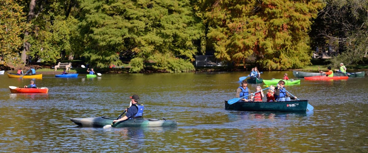 A group of people kayaking on a calm lake surrounded by dense trees.