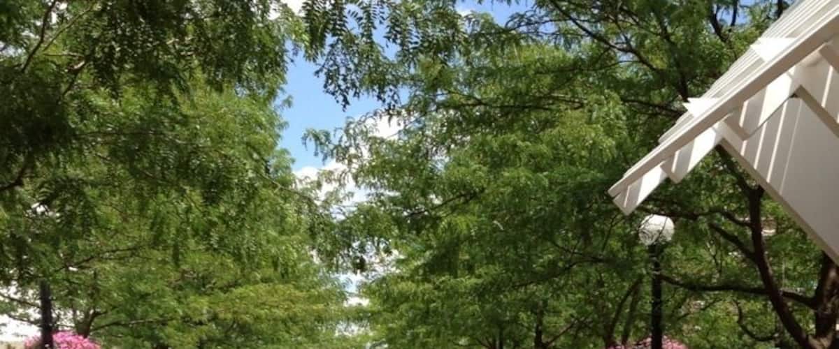 Walkway through metroscape.