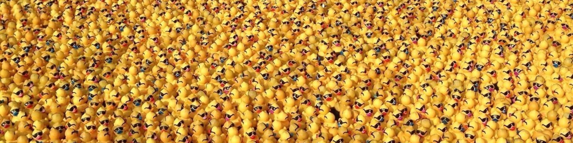 I know you've always wondered what twenty thousand rubber ducks looked like.  The Rubber Duck Regatta is hosted every fall by United Rehabilitation Service of Greater Dayton as a fund raiser.