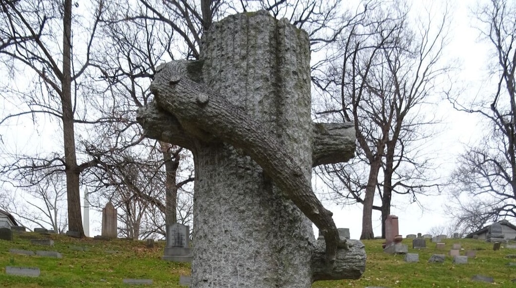 Large tree of life monument for John W. Frye, a grinder for South Park Tool Co.
With incredible monuments of stone and bronze, historical burial sites and nine state champions trees, Woodland Cemetery and Arboretum in Dayton, Ohio, is one of the oldest "garden" cemeteries in the United States.
Incorporated in 1842, the cemetery began with 40 acres southeast of Dayton and has been enlarged to its present size of 200 acres.