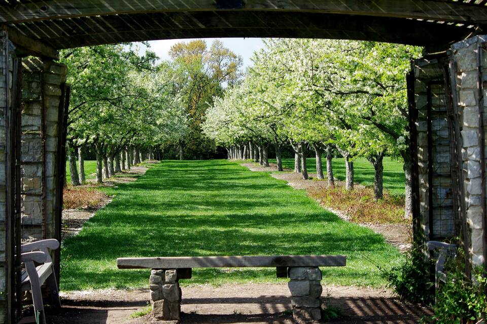 A stone archway leading to a row of trees with a bench in the center.