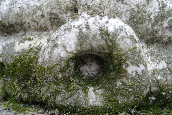A close-up of some moss growing on the beehive monument of Daniel Beckel.
With incredible monuments of stone and bronze, historical burial sites and nine state champions trees, Woodland Cemetery and Arboretum in Dayton, Ohio, is one of the oldest "garden" cemeteries in the United States.
Incorporated in 1842, the cemetery began with 40 acres southeast of Dayton and has been enlarged to its present size of 200 acres.