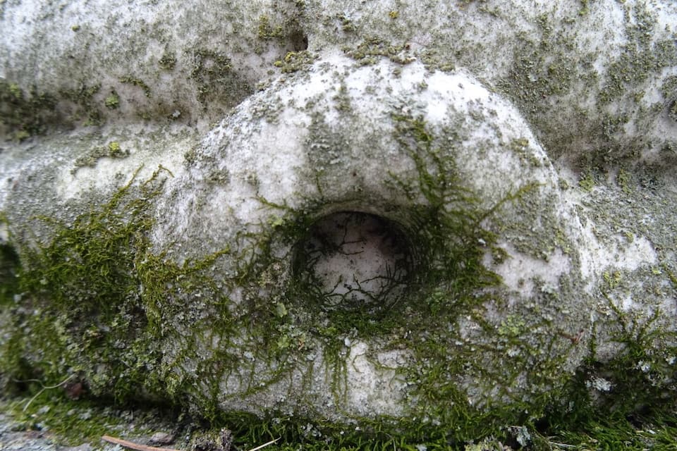 A rock with a moss-covered hole.