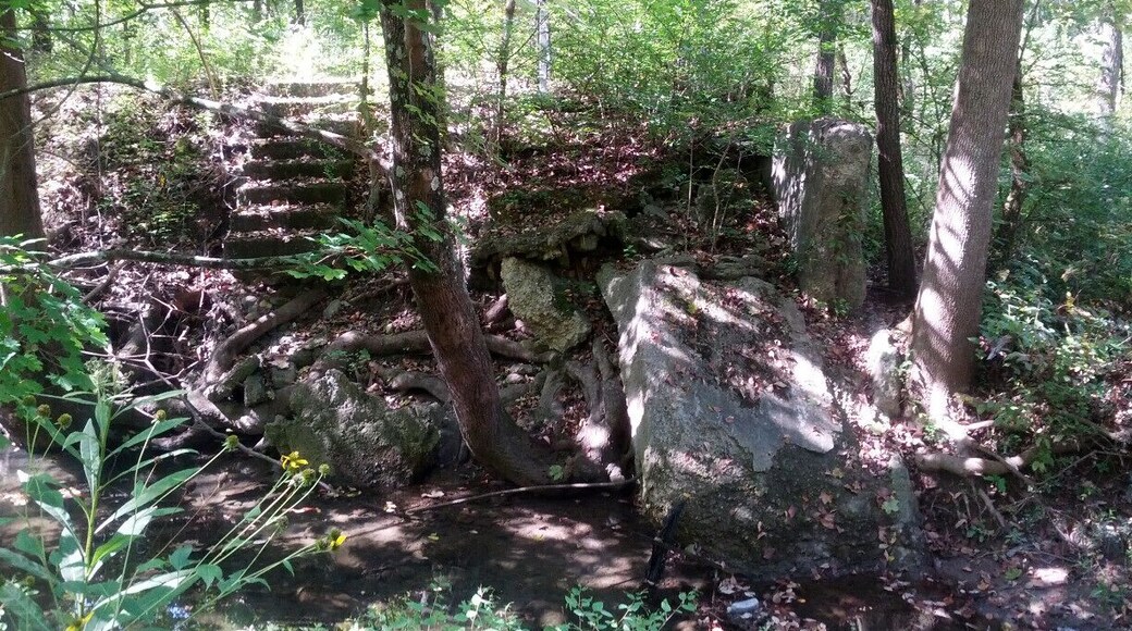 Before becoming Possum Creek MetroPark, this land was an outdoor recreation area called Argonne Forest, operating from the 1920's to the 1940's. Here are the remains of the swimming pool steps and diving platform. The pool was constructed by building retaining walls and a spillway to collect the waters of Possum Creek.