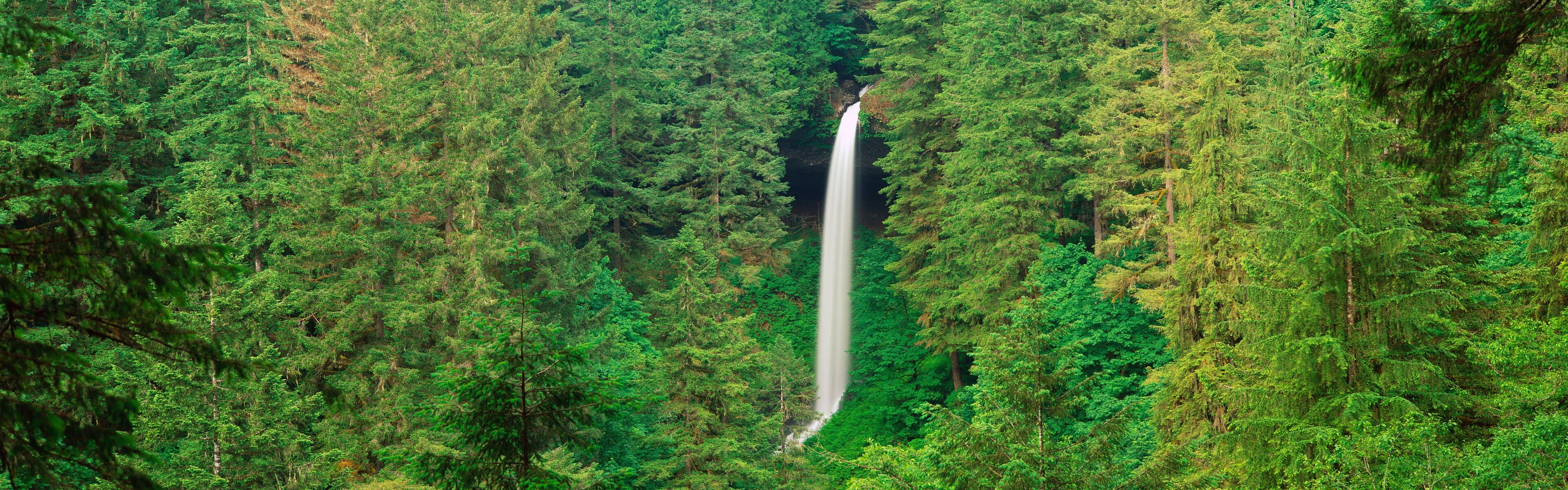 A waterfall surrounded by dense green forest.