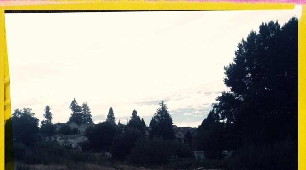 Serene, empty field in Salem. Probably occupied by a snake or two.