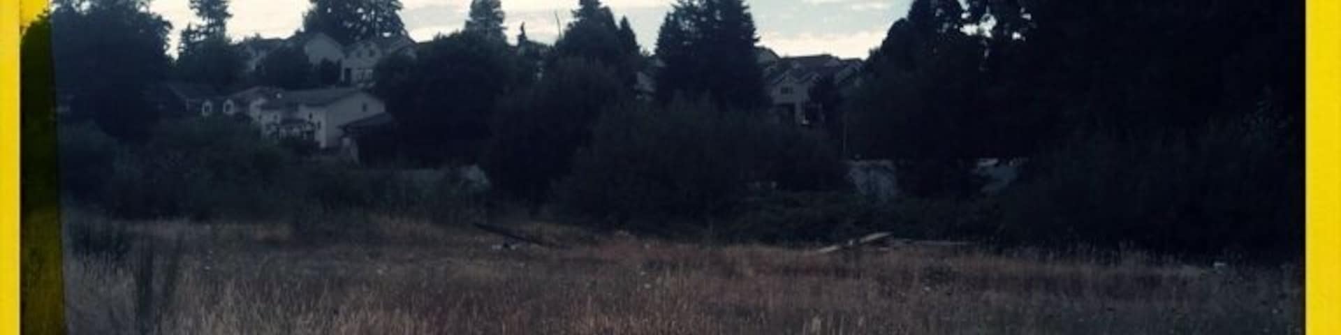 Serene, empty field in Salem. Probably occupied by a snake or two.