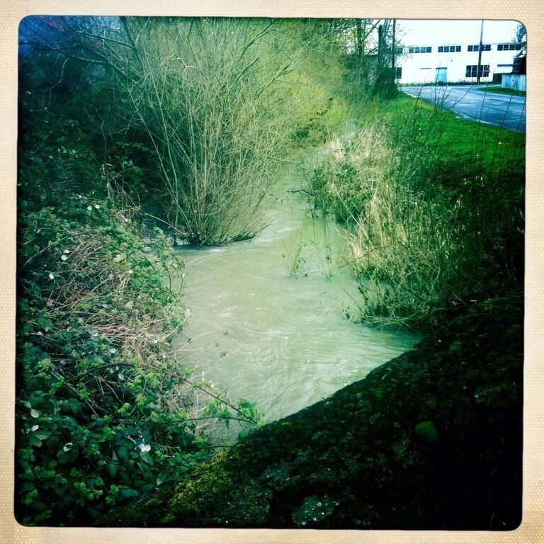 A puddle runs through it. Just one of the many tiny rivers that runs through this boring city I'm stuck in.