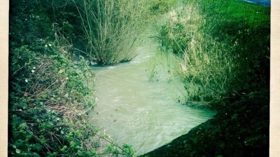 A puddle runs through it. Just one of the many tiny rivers that runs through this boring city I'm stuck in.