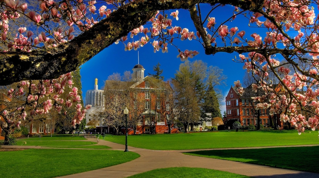 Salem trong đó bao gồm công viên