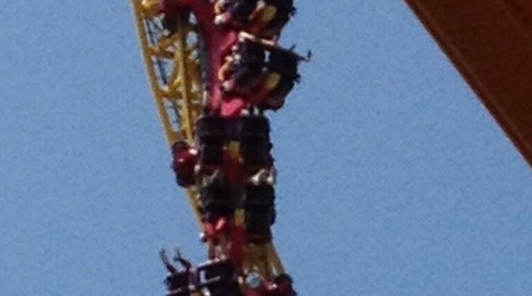 This ride is wild! A must try for coaster enthusiasts