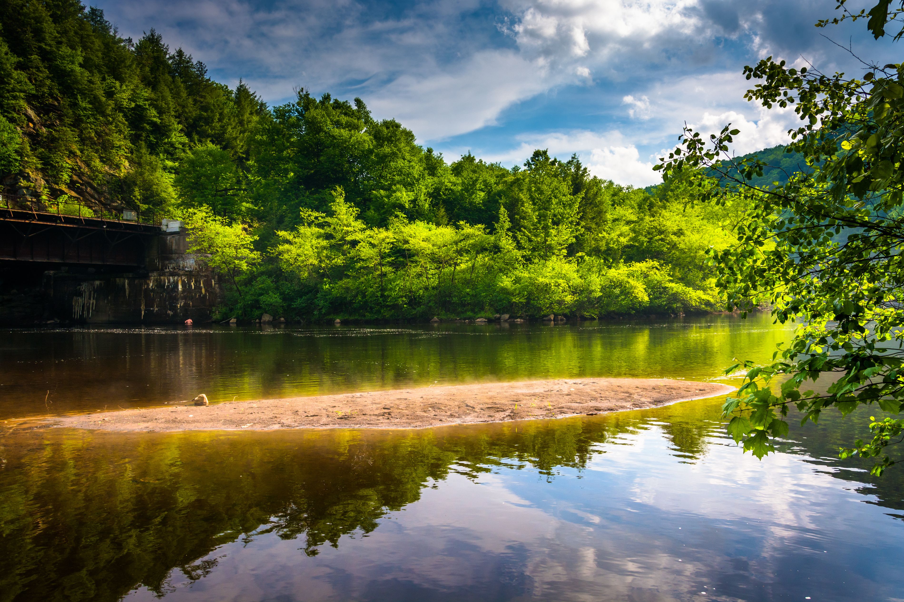 A serene river with a sandy beach, surrounded by dense green forest and a bridge in the background.