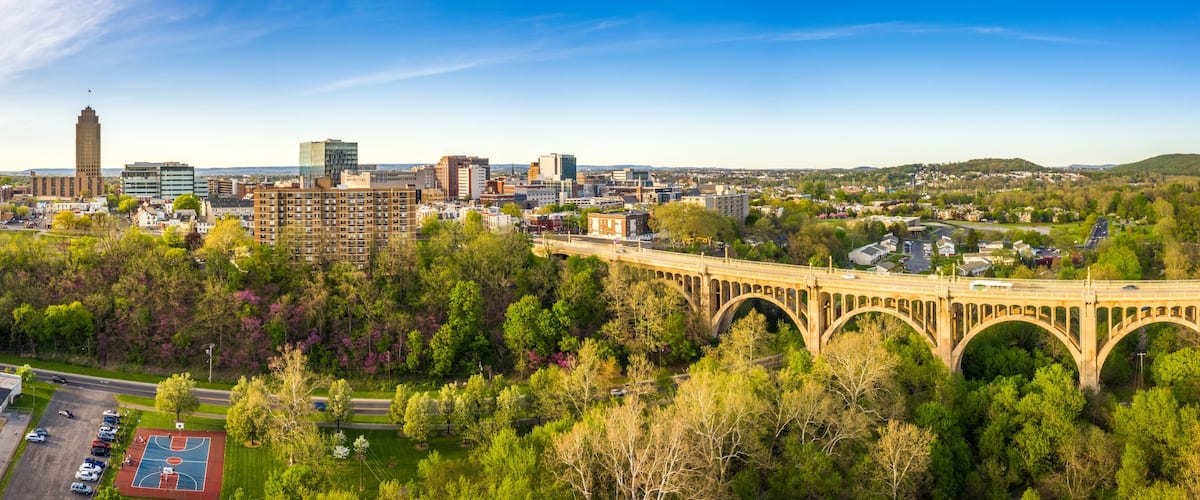 A cityscape with a prominent bridge, modern buildings, and lush greenery.
