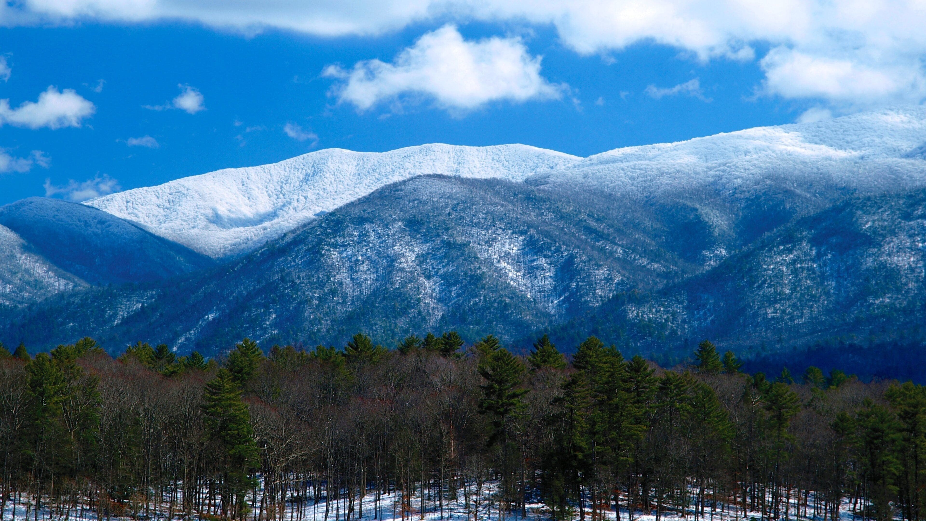 Knoxville fasiliteter samt skog, fjell og snø
