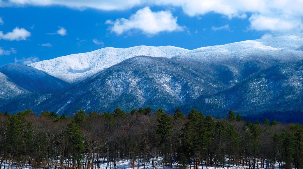 Knoxville fasiliteter samt skog, fjell og snø