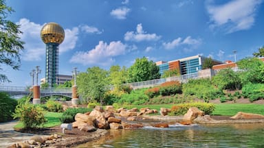 Knoxville mostrando un estanque, un jardín y arquitectura moderna