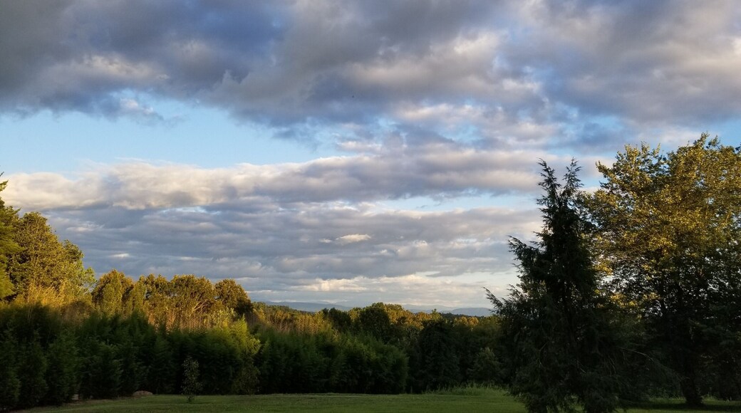 Knoxville Botanical Garden has beautiful views and plants! We had a wonderful time enjoying the scenery and pausing to enjoy nature's beauty.