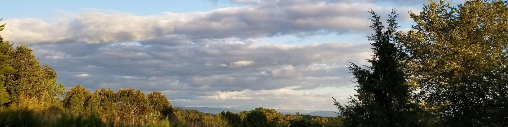 Knoxville Botanical Garden has beautiful views and plants! We had a wonderful time enjoying the scenery and pausing to enjoy nature's beauty.