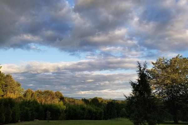 Knoxville Botanical Garden has beautiful views and plants! We had a wonderful time enjoying the scenery and pausing to enjoy nature's beauty.