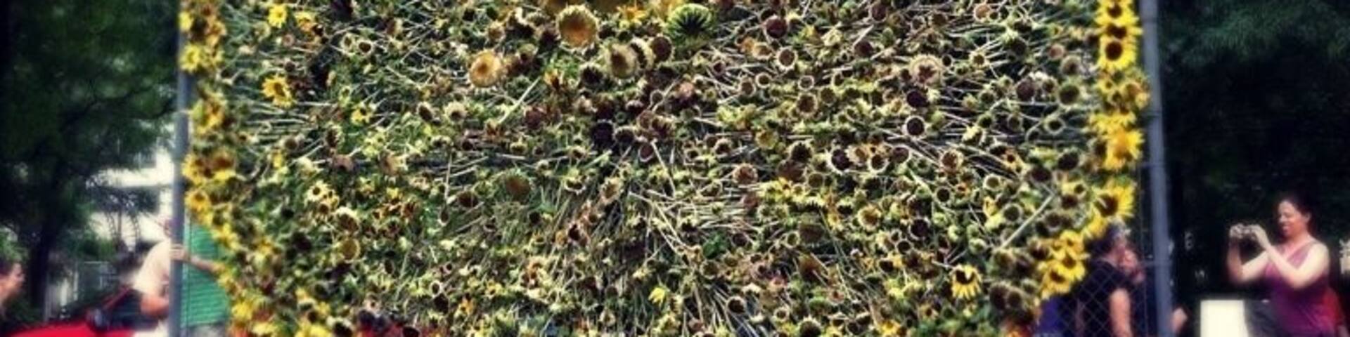 Memorial day sunflower sculpture in a park downtown in Knoxville