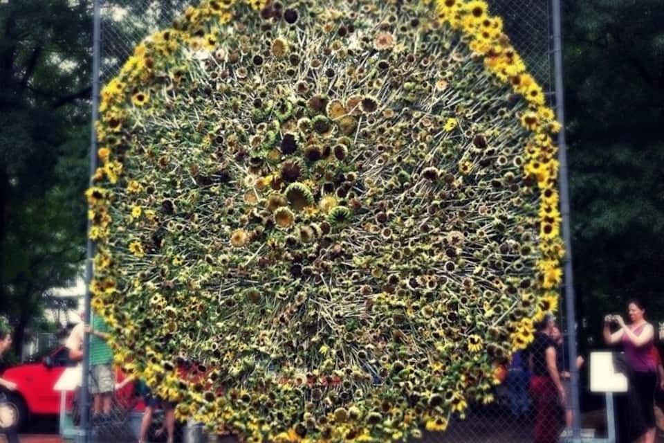 A circular sculpture made of sunflower heads and metal rods, surrounded by a fence.
