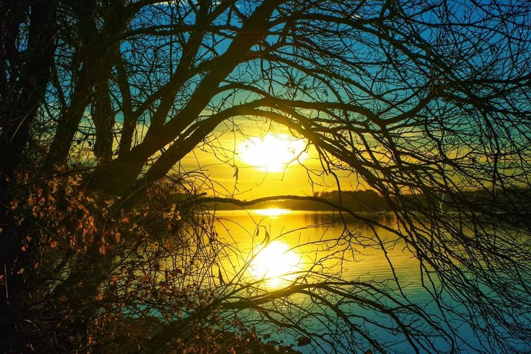 Sunset reflection
#nature