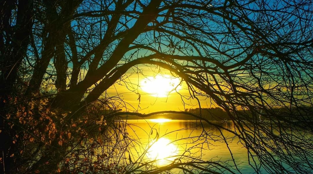 Sunset reflection
#nature