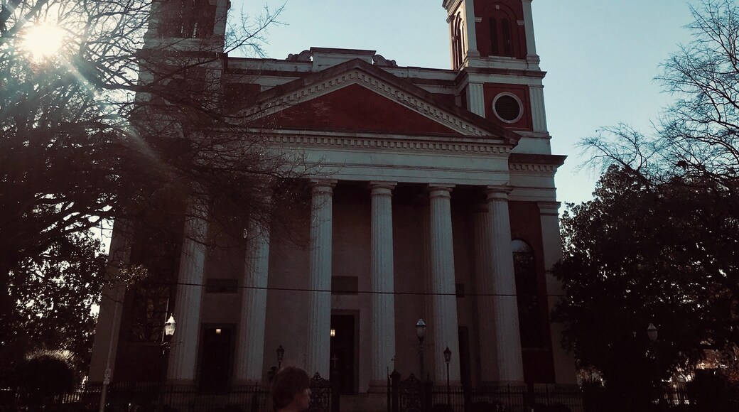 The Basilica of the Immaculate Conception⛪️